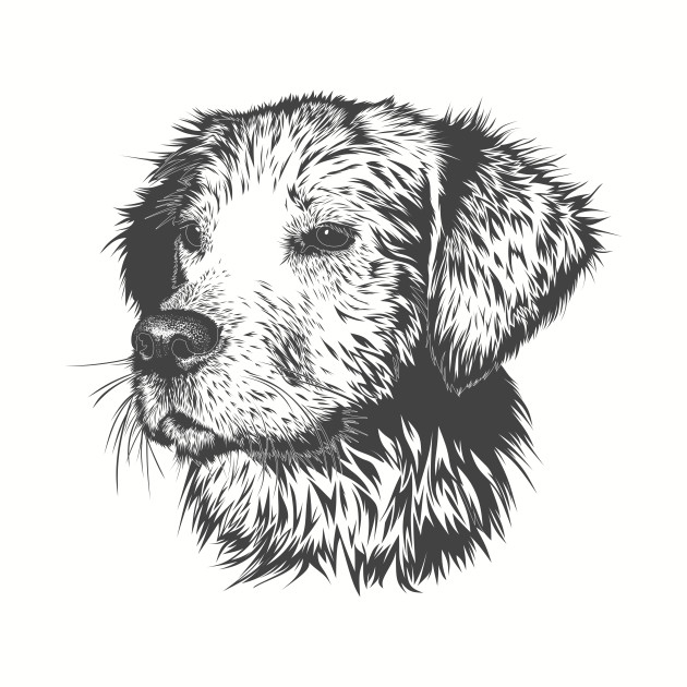 630x630 Puppy Pencil Drawing - Dog Pencil Drawing
