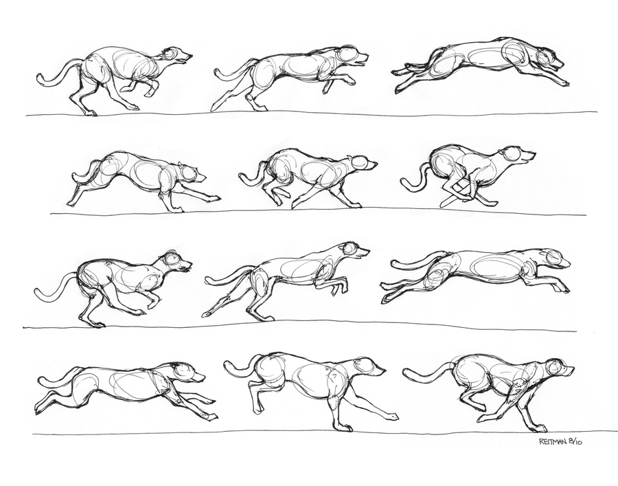 900x707 Greyhound Running - Dog Running Drawing