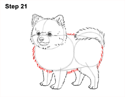 500x386 How To Draw A Dog - Dog Running Drawing