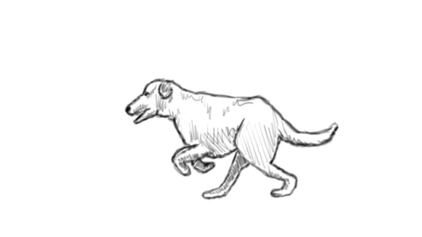 852x480 Cartoon - Dog Running Drawing