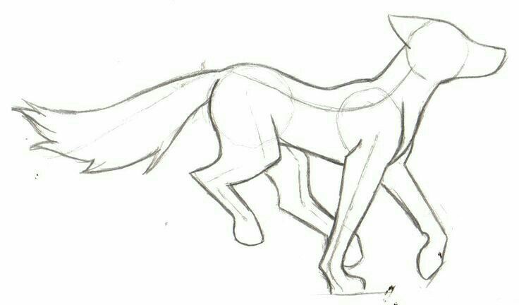 736x432 Wolfdog, Running, Drawing Reference Visual Prompts Drawings - Dog Running Drawing