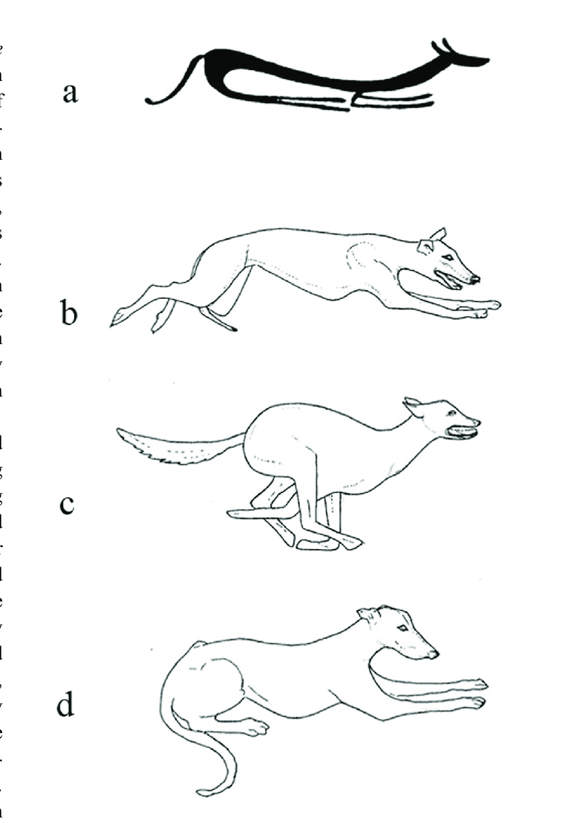 850x1212 A Typical Susa Dog B C Drawings Of Living Salukis In Different - Dog Running Drawing