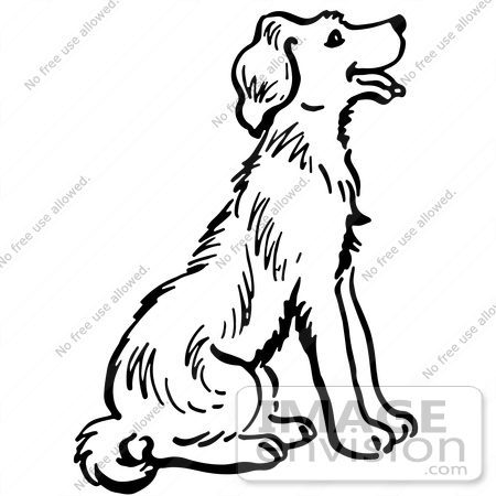 450x450 How To Draw A Dog Sitting Down - Dog Sitting Down Drawing