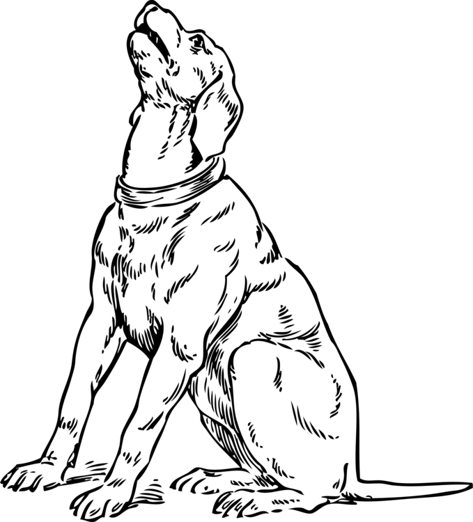 679x750 Download Dog Sitting Drawing At Getdrawings - Dog Sitting Drawing