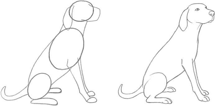 How To Draw A Dog Sitting Down