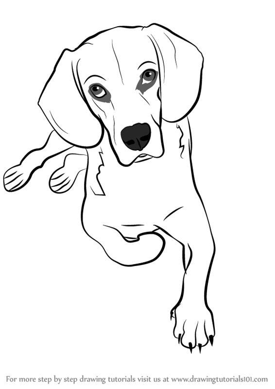 566x800 Learn How To Draw A Sitting Dog - Dog Sitting Drawing