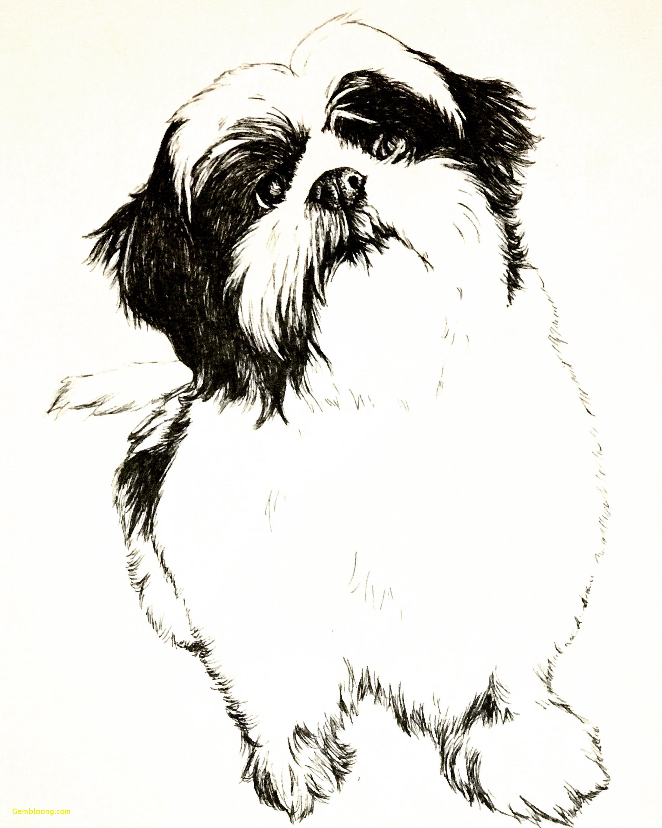 2176x2720 Sitting Puppy Dogs Drawings - Dog Sitting Drawing