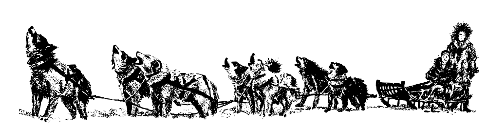 1000x263 alaska dog sled transparent png clipart free download - Dog Sled Drawing