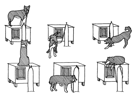 454x317 voluntary codes of practice hetta huskies - Dog Sled Drawing