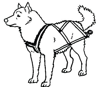 75 Top Snow Dogs Coloring Pages Pictures