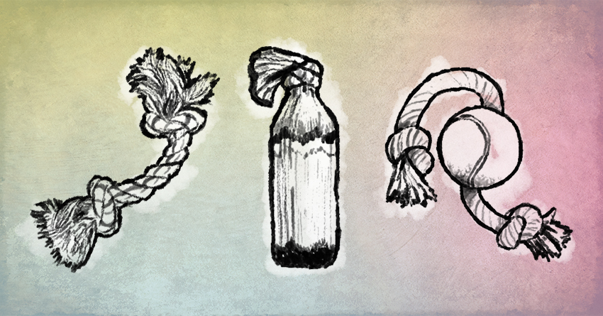 850x445 Dog Toys You Can Make - Dog Toy Drawing