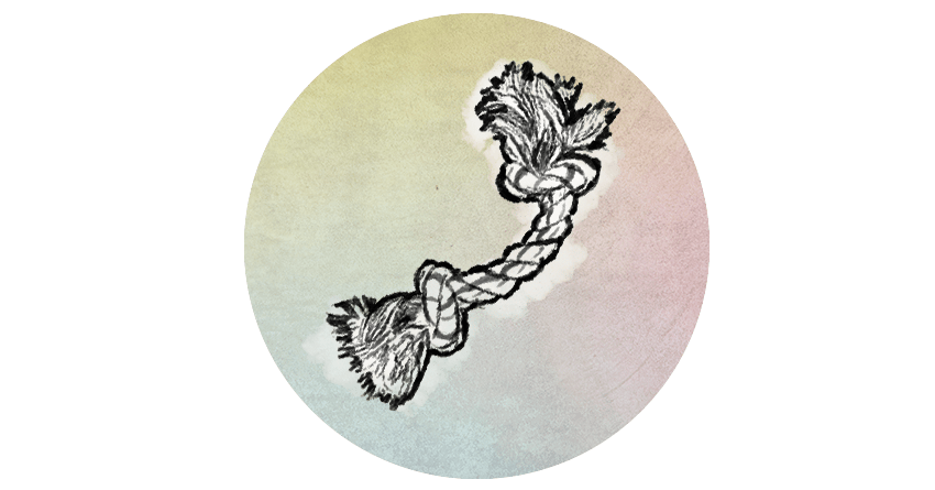 850x445 Dog Toys You Can Make - Dog Toy Drawing