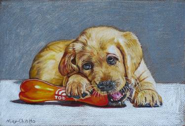 375x256 Original Colored Pencil Drawing Dog Playing With Toy Drawing - Dog Toy Drawing
