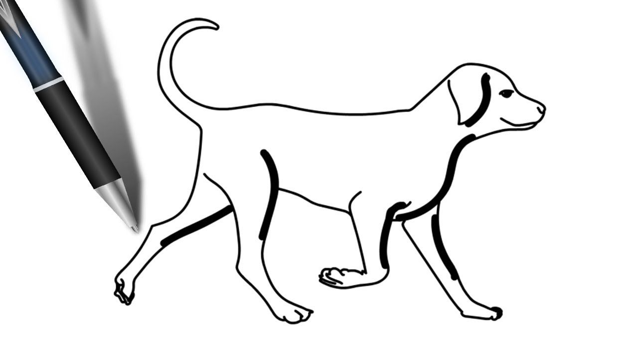 1280x720 Dog Step - Dog Walking Drawing