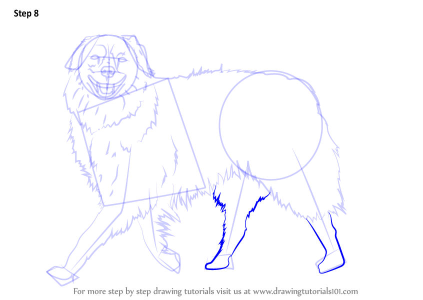 846x600 Learn How To Draw A Dog Walking - Dog Walking Drawing