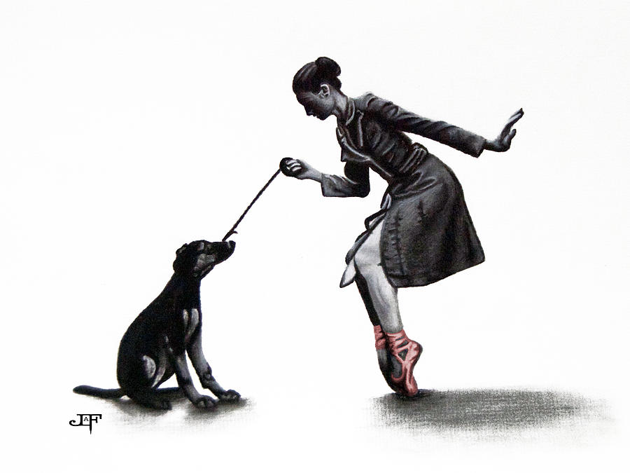 900x675 the dog walker drawing - Dog Walking Drawing