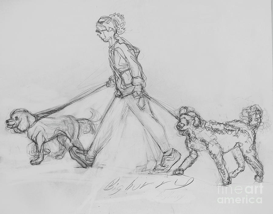900x706 dog walker drawing - Dog Walking Drawing
