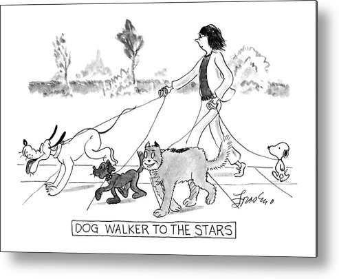 493x405 dog walker to the stars metal print - Dog Walking Drawing