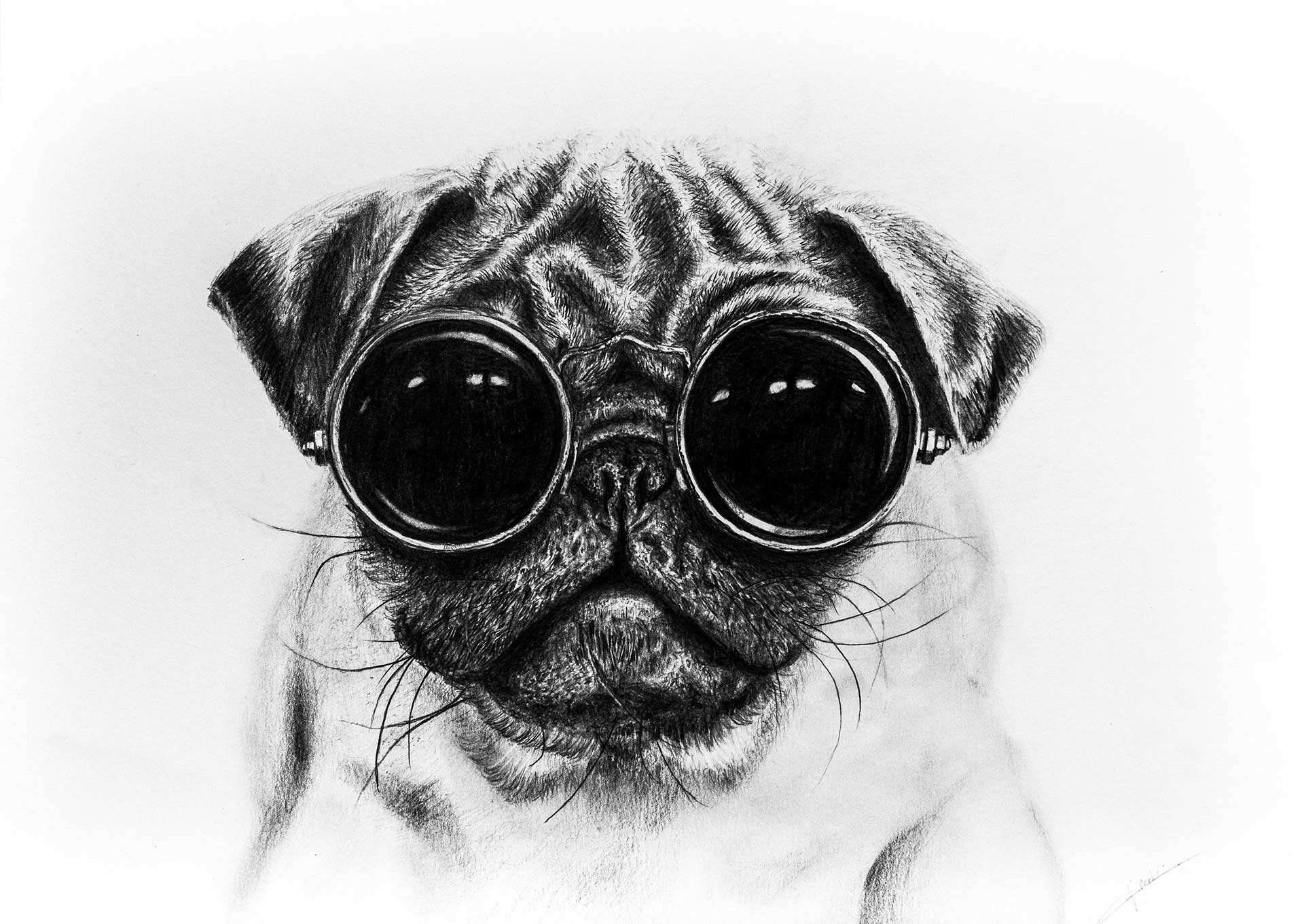 1920x1362 sunglasses drawing realism for free download - Dog With Sunglasses Drawing