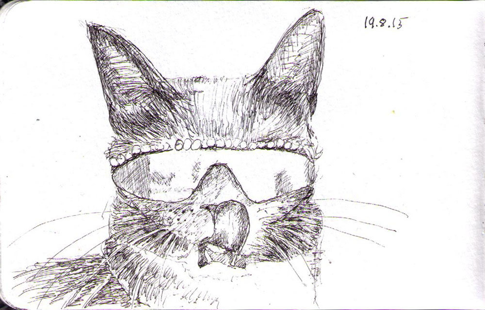 1000x640 Drawing Of A Cat And A Dog! One Drawing Daily - Dog With Sunglasses Drawing