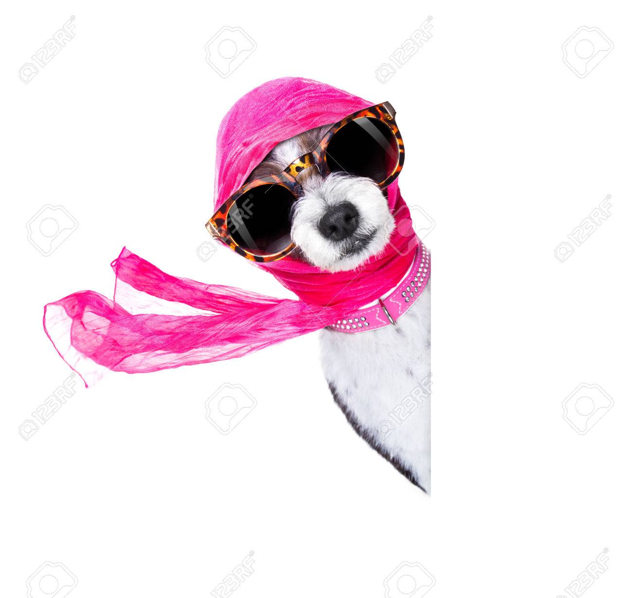 Dog With Sunglasses Drawing at Explore collection