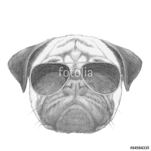 Dog With Sunglasses Drawing at Explore collection