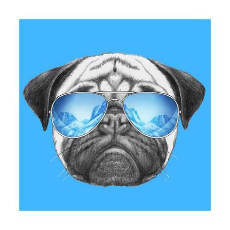 473x473 portrait of pug dog with mirror sunglasses hand drawn - Dog With Sunglasses Drawing
