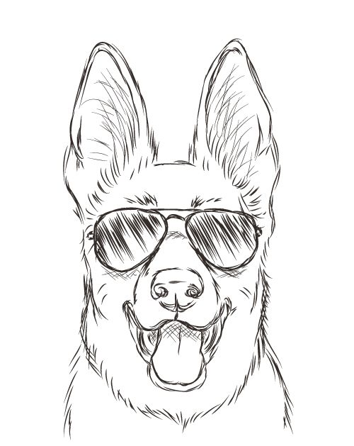 500x629 The Scratchbook Michele Nicolette - Dog With Sunglasses Drawing