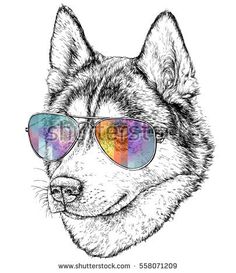236x273 Best Dogs Images Dog Illustration, Bulldog Cartoon, Dog Cat - Dog With Sunglasses Drawing