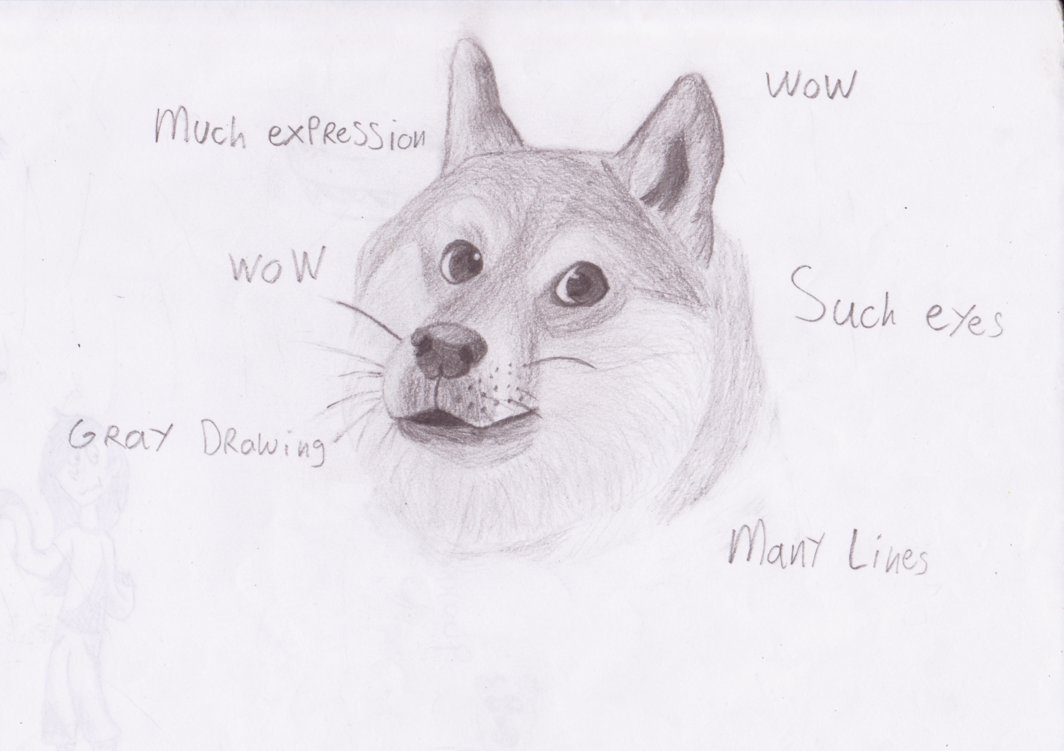 1064x751 Doge Drawing Pencil For Free Download - Doge Drawing