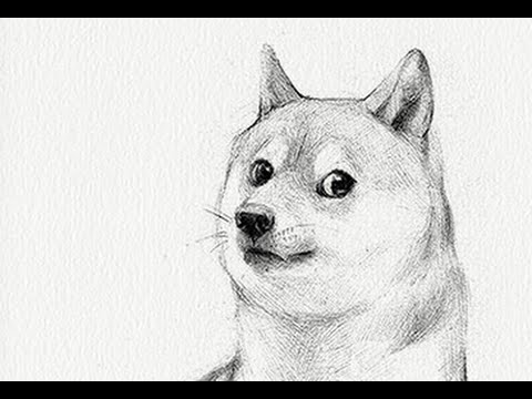 480x360 How To Draw Doge - Doge Drawing