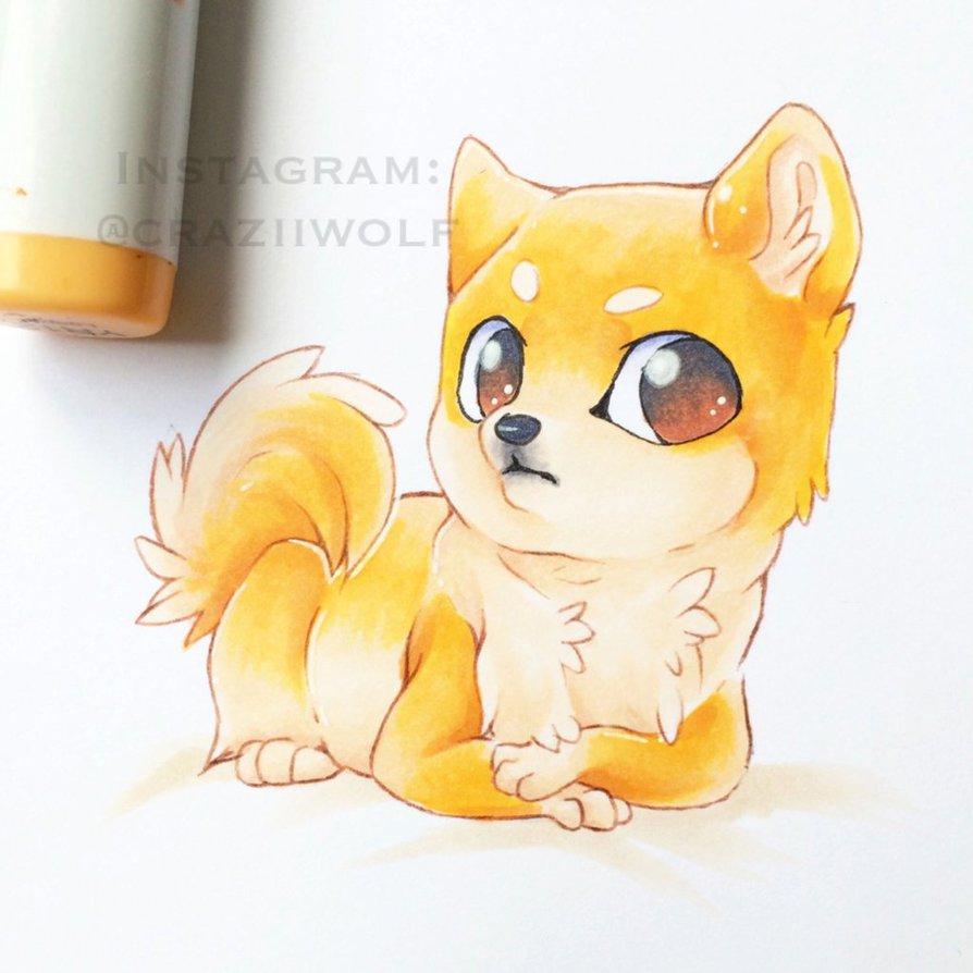 894x894 Doge Drawing For Free Download - Doge Drawing