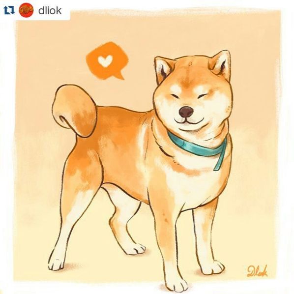 598x598 Shiba Inu Or Shibe Doge Cartoons Beautiful Artwork! Shiba Inu - Doge Drawing
