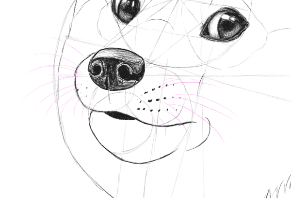 600x410 Such Tutorial, Many Fun How To Draw Doge! - Doge Drawing