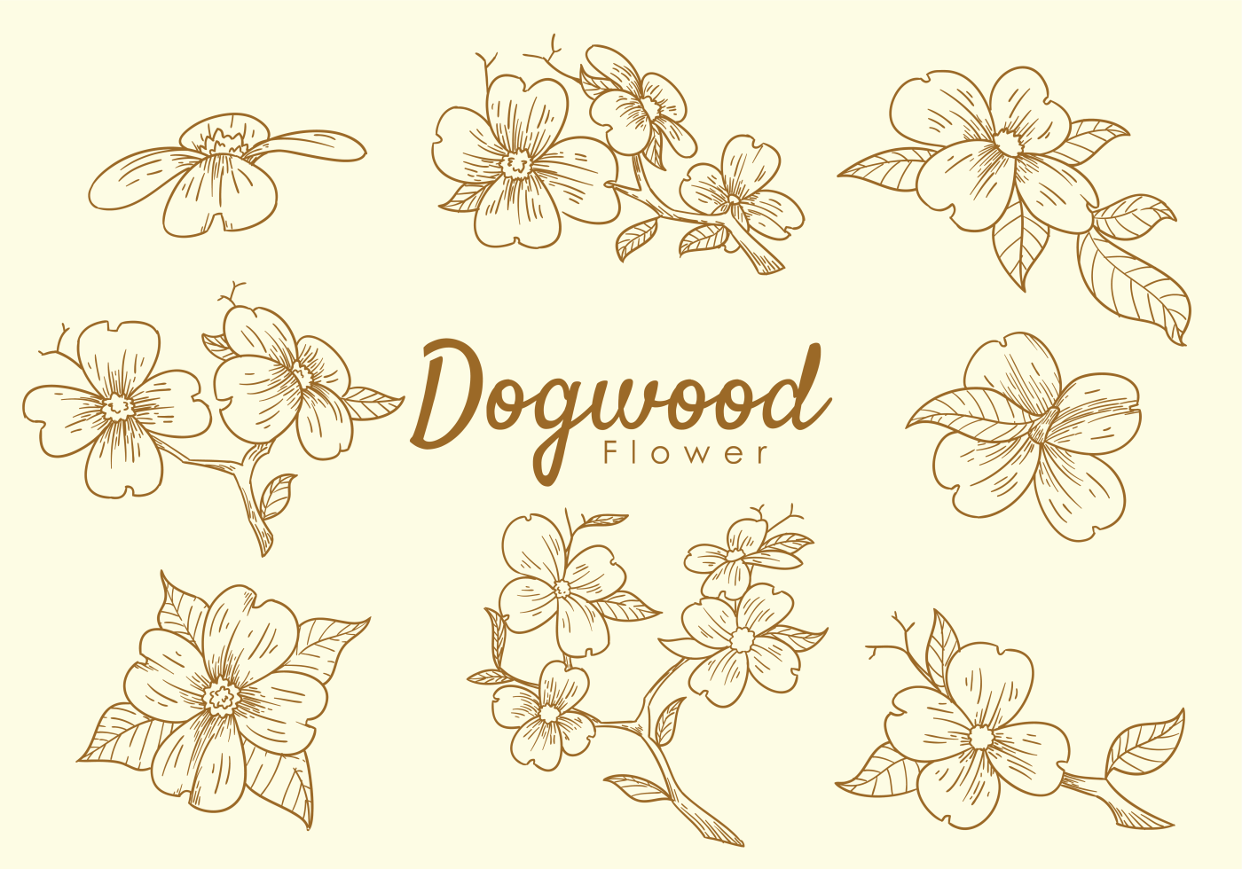 1400x980 Dogwood Flower Free Vector Art - Dogwood Blossom Drawing