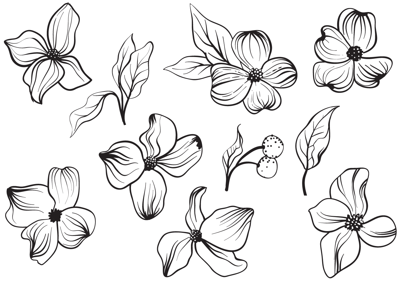 1400x980 Free Vintage Dogwood Flowers Vectors - Dogwood Blossom Drawing