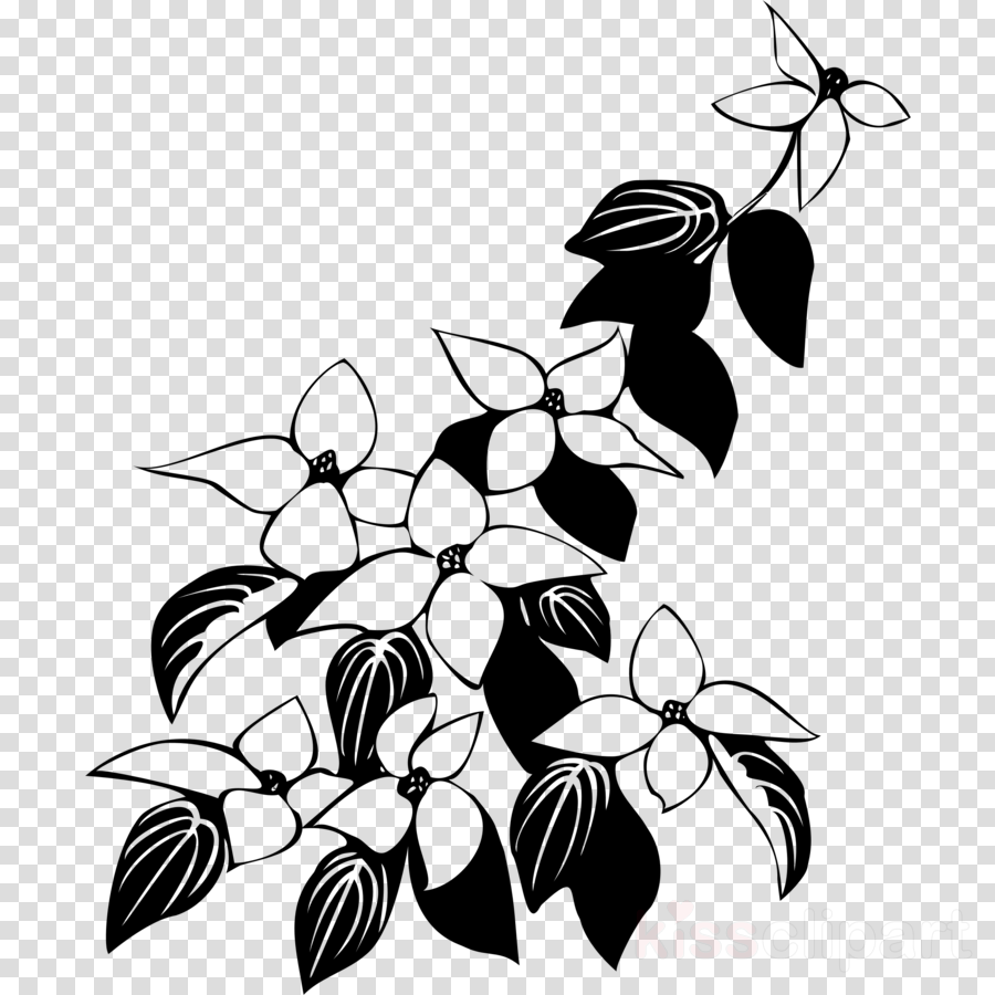 900x900 Flower, Leaf, Tree, Transparent Png Image Clipart Free Download - Dogwood Branch Drawing