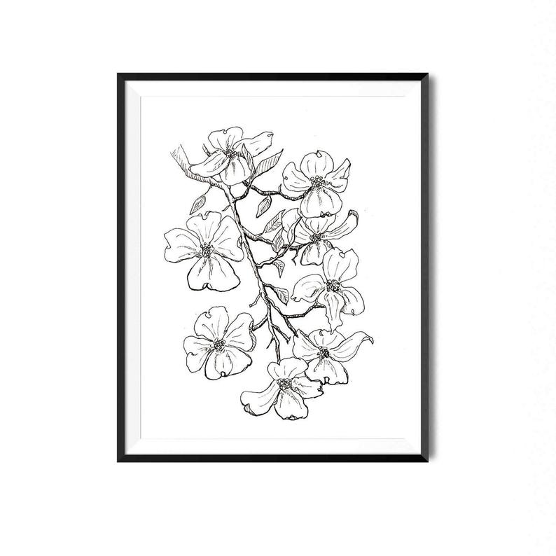 794x794 Flowering Dogwood Print Flower Art Botanical Illustration Etsy - Dogwood Branch Drawing