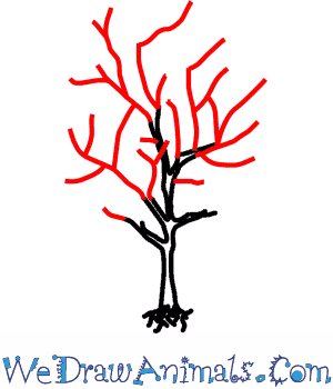 300x350 How To Draw A Dogwood Tree - Dogwood Branch Drawing