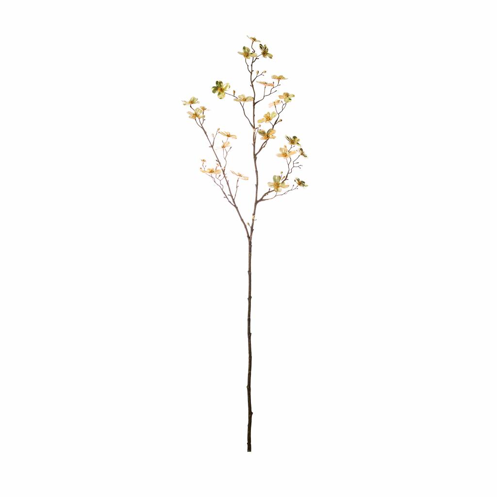 1024x1024 Riverdale Dogwood Branch Gold Buy - Dogwood Branch Drawing