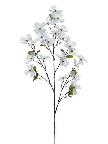 Dogwood Branch Drawing at PaintingValley.com | Explore collection of ...