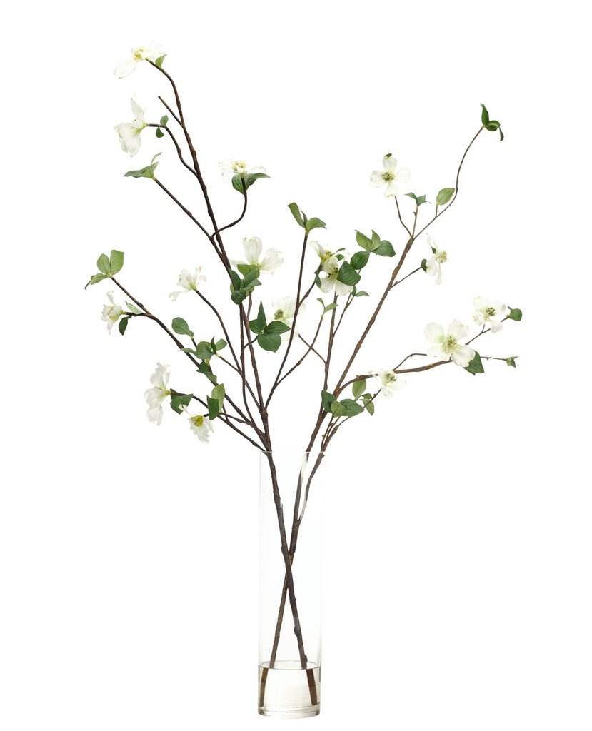 829x1024 white dogwood branch in glass cylinder cadieux interiors - Dogwood Branch Drawing