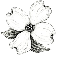 Dogwood Drawing at PaintingValley.com | Explore collection of Dogwood ...