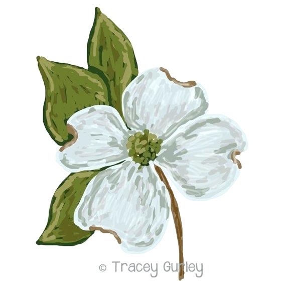 570x570 Dogwood Flower Clipart Flowering Drawing Clip Art Free Azaleas - Dogwood Flower Drawing
