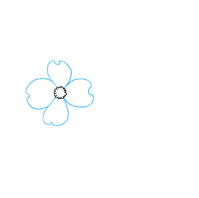 680x678 How To Draw Dogwood Flowers - Dogwood Flower Drawing