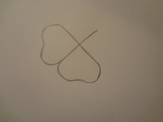 520x390 How To Draw A Dogwood Flower Feltmagnet - Dogwood Flower Drawing