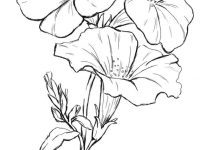 200x150 Piniryna Budko On Shabloni Draw, Flowers - Dogwood Flower Drawing