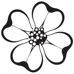 260x260 Homepage - Dogwood Line Drawing