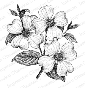 286x297 impression obsession rubber stamps dogwood - Dogwood Line Drawing