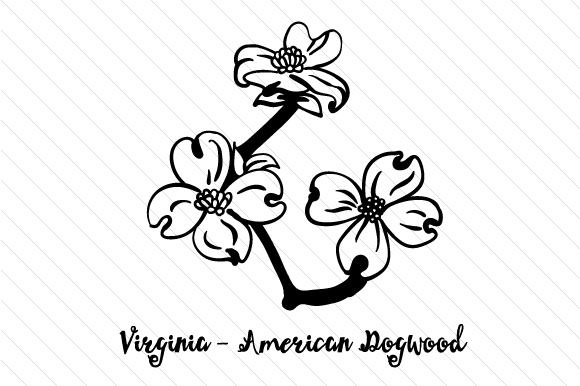 580x386 state flower virginia american dogwood - Dogwood Line Drawing